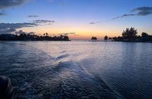 Private: Bioluminescence Tour