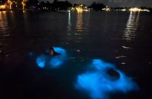 Private: Bioluminescence Tour