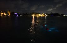 Private: Bioluminescence Tour