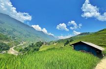 Private Trekking through Terraces Rice Fields in Sapa 