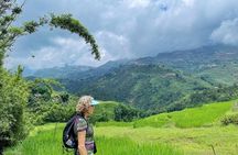 Private Trekking through Terraces Rice Fields in Sapa 