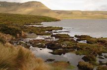 Antisana volcano private tour; birding and hike in the Andes