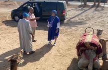 Day trip to Marrakech city from Casablanca