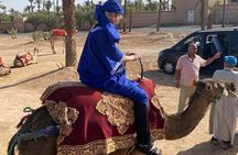 Day trip to Marrakech city from Casablanca