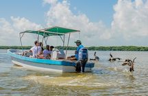 Boat Trip to the Biosphere Reserve in Celestún from Mérida