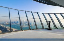 Half day Dubai private city tour&The palm view observatory ticket