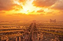 Half day Dubai private city tour&The palm view observatory ticket