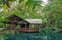 EcoTermales Hot Springs & Arenal Volcano Full Day from San José