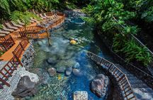 EcoTermales Hot Springs & Arenal Volcano Full Day from San José