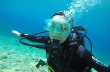 Scuba Diving Experience in Jale Bay Coral Reef