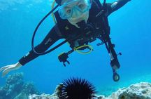 Scuba Diving Experience in Jale Bay Coral Reef
