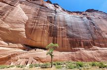 3 hour Private Tour in Chinle