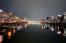 Private Day Tour In Tokyo with a Native English Speaker
