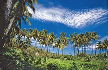 Reunion Island: 8-Hour Private Tour Through 8 Inescapable Sites
