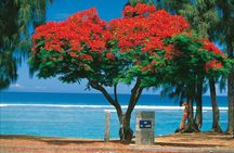 Reunion Island: 8-Hour Private Tour Through 8 Inescapable Sites