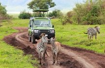 4-Day Northern Tanzania Camping Tour Safari