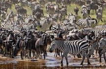 4-Day Northern Tanzania Camping Tour Safari