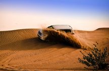 Red Dune Desert Safari with Live Shows and BBQ Dinner