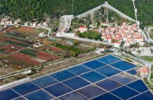 Dubrovnik Country and Ston Private Tour