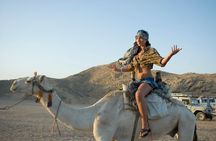 Marsa Alam: Full-Day Super Safari Excursion By Jeep& ATV