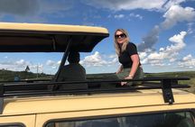Full-Day Lake Mburo National Park Safari with Boat trip (2 day option available)