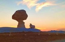 Under the Stars: 2 Days Camping in Egypt’s White Desert