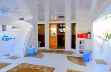 Private VIP Boat Snorkeling Day To White Island And Ras Mohamed
