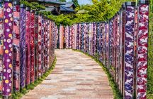 Kyoto Arashiyama Walking Tour - Bamboo, Monkeys, Temple & Secrets