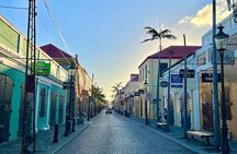Half-Day Local Experience in St. Thomas