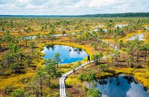 Private Full-Day Trip to Jurmala and Great Kemeri Bog Boardwalk