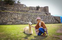 Private One Day All Inclusive Machu Picchu Excursion