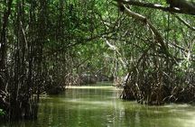 Boat Trip to the Biosphere Reserve in Celestún from Mérida