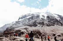 Private Full Day Tour to Kilimanjaro National Park
