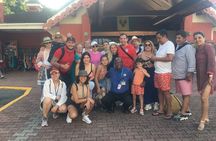 5 Hour Tour at Dark View Falls and Pirates of the Caribbean Set