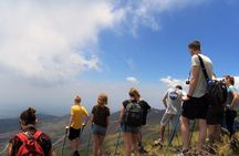 Etna's Hidden Gems - Trek Valle Bove & Lava Tunnel with Gear