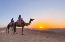  Marrakech: Sunset Dinner in Agafay Desert and camel ride