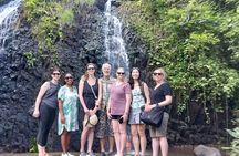 Tahiti Full Day Private Coastal Tour