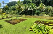 Tahiti Full Day Private Coastal Tour