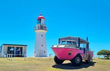 Full-Day 1770 Tour by LARC Amphibious Vehicle Including Sandboarding and Bustard Head Lightstation