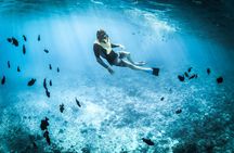 3-Hr Private Snorkeling and Dolphin Watching Tour at Muscat