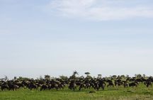 Best Of Six Days Safari Camping safari
