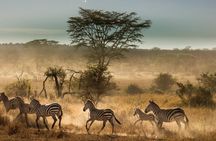 Best Of Six Days Safari Camping safari