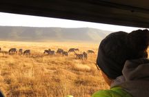 Best Of Six Days Safari Camping safari
