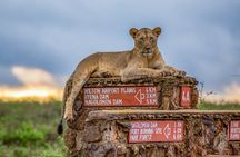 Private Tour to Nairobi National Park and the Karen Blixen Museum