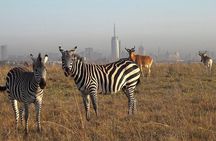 Private Tour to Nairobi National Park and the Karen Blixen Museum