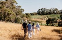 Passel Estate - Nature & Wine Walk
