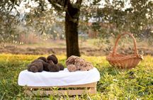Private Truffle Hunting in Slovenia with meal - Zdenko Tartufi