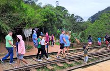 Best of Ella - Full Day, Private & Customize Tour