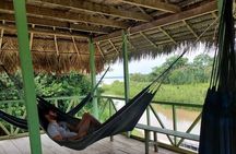 Jungle Explorer Tour 5 days 4 nights