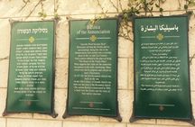 Christianity Day Tour: Haifa Port to Nazareth and Sea of Galilee 